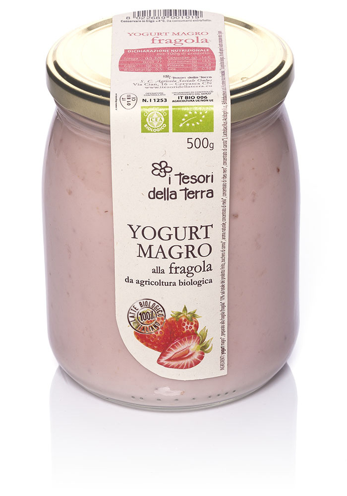 ITesoridellaTerra_yogurt-magro-biologico_500g-fragola