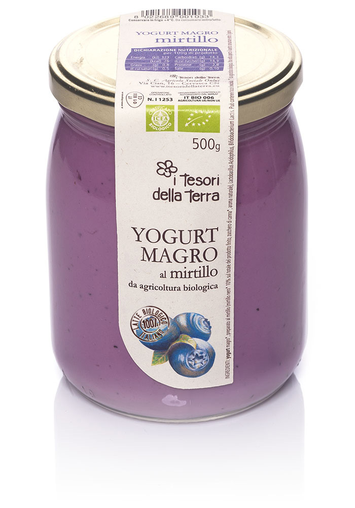 ITesoridellaTerra_yogurt-magro-biologico_500g-mirtillo