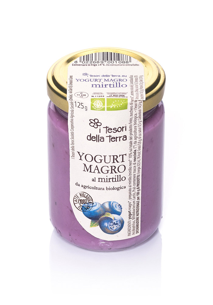 I Tesori della Terra Yogurt magro mirtillo 125g copia